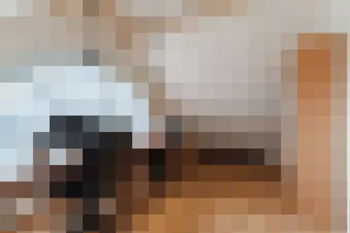 Morel 167 Uden thumbnail 51