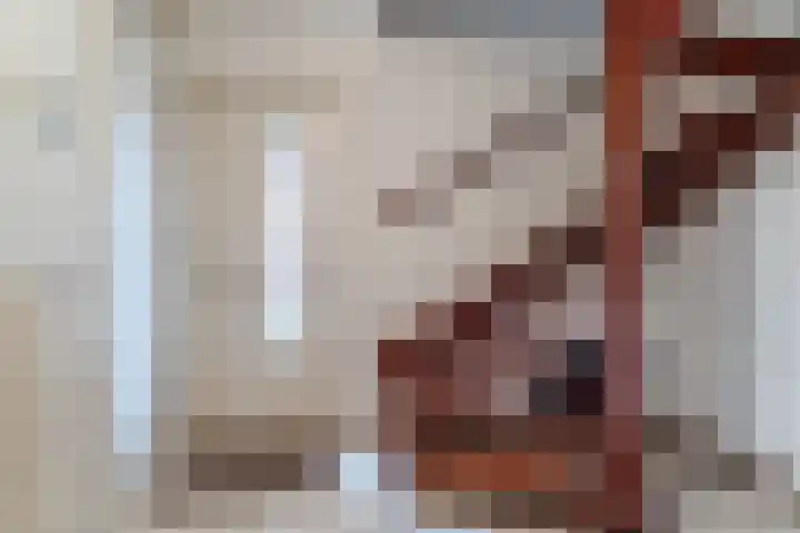 Morel 167 Uden thumbnail 6