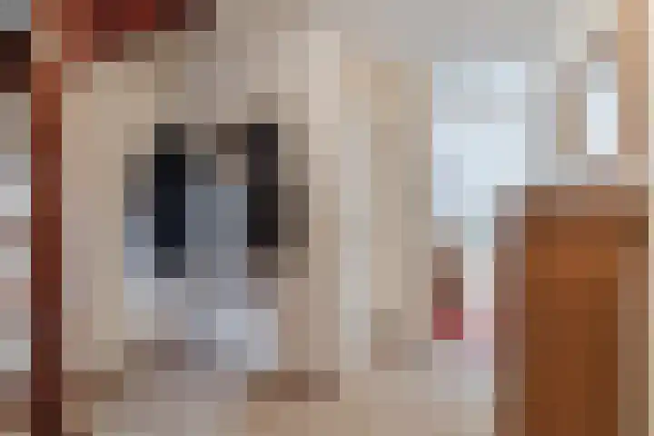 Morel 167 Uden thumbnail 7