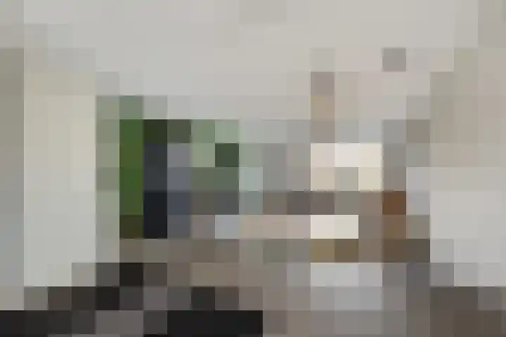 Morel 40 Uden thumbnail 10