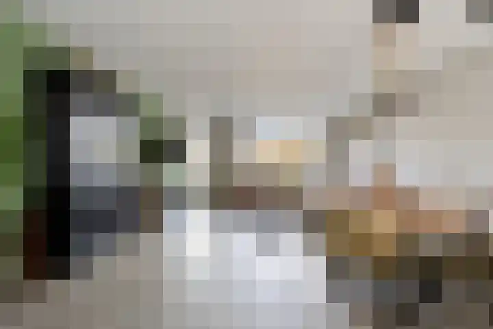 Morel 40 Uden thumbnail 11