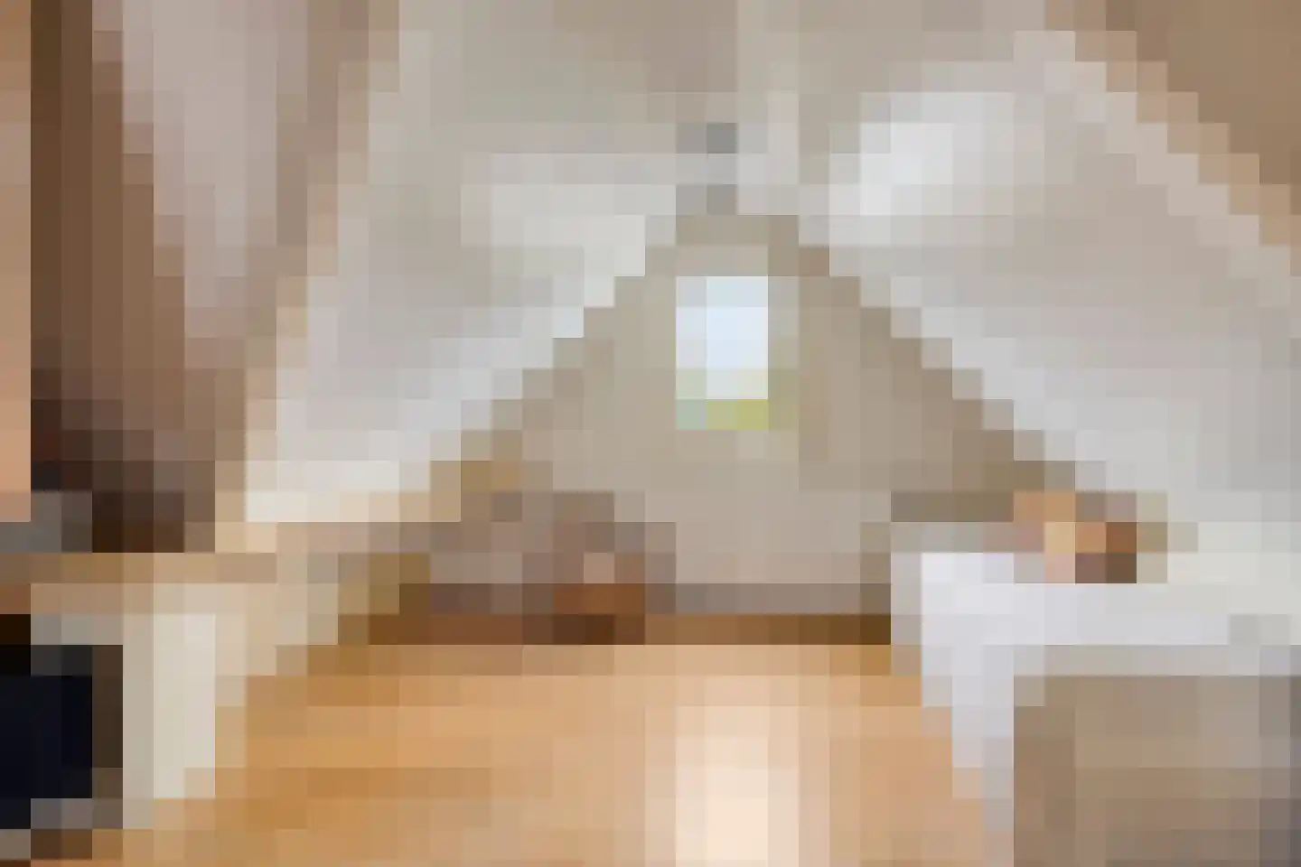 Morel 40 Uden thumbnail 13