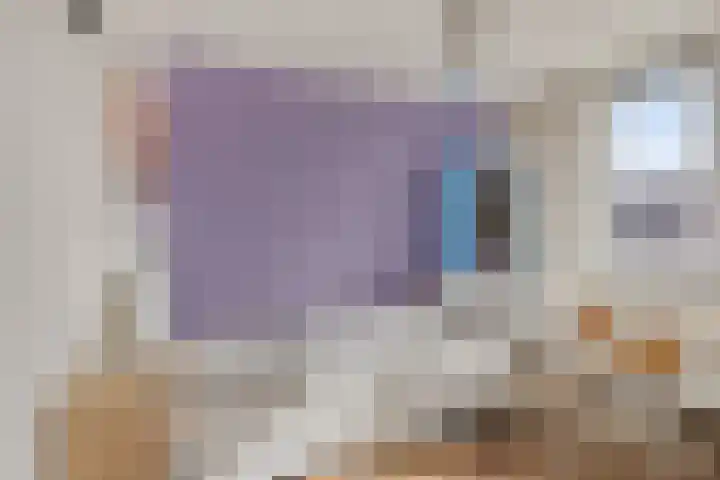 Morel 40 Uden thumbnail 15