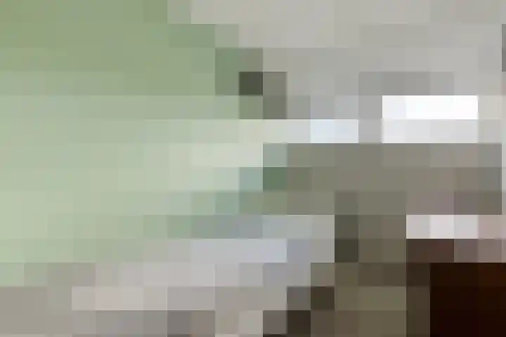 Morel 40 Uden thumbnail 17