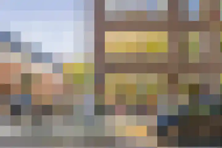 Morel 40 Uden thumbnail 18