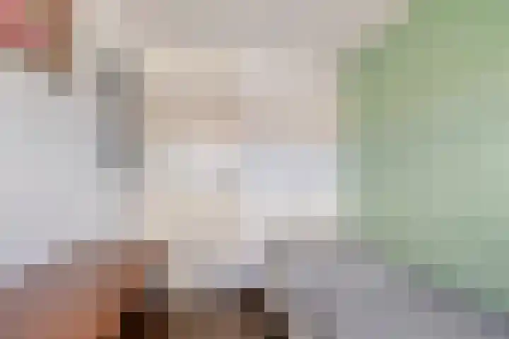 Morel 40 Uden thumbnail 18