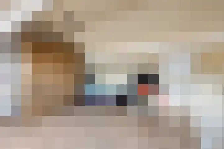 Morel 40 Uden thumbnail 23