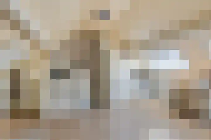 Morel 40 Uden thumbnail 24