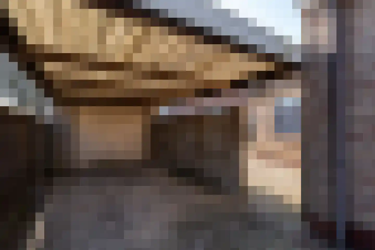 Morel 40 Uden thumbnail 25