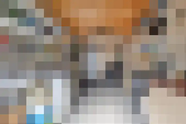 Morel 40 Uden thumbnail 27