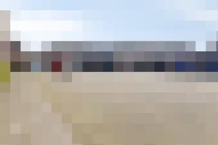 Morel 40 Uden thumbnail 28