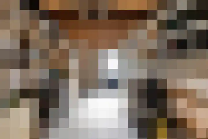 Morel 40 Uden thumbnail 29