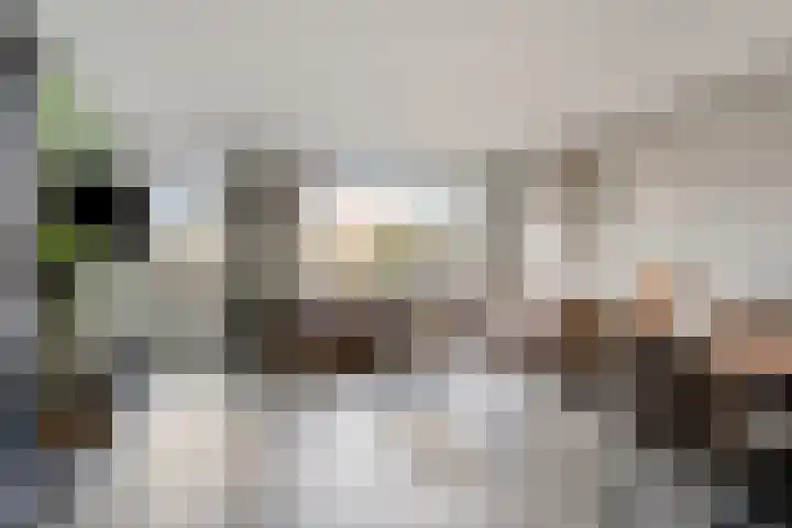 Morel 40 Uden foto 3