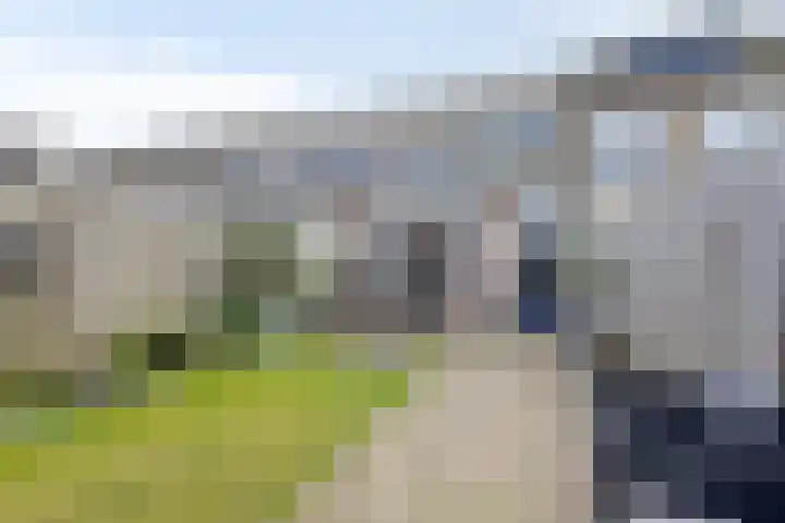 Morel 40 Uden thumbnail 31