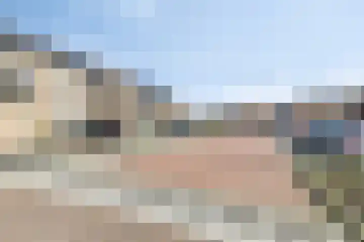 Morel 40 Uden thumbnail 36