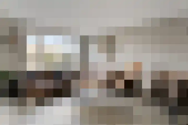 Morel 40 Uden thumbnail 4