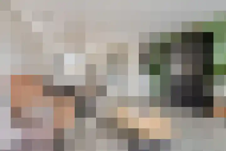 Morel 40 Uden thumbnail 6