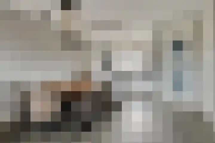 Morel 40 Uden thumbnail 7