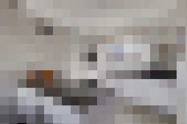 Morel 40 Uden thumbnail 8