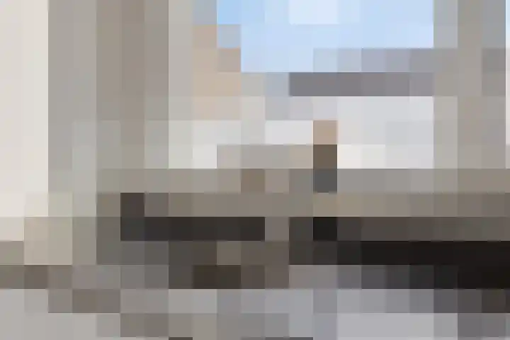 Morel 40 Uden thumbnail 9