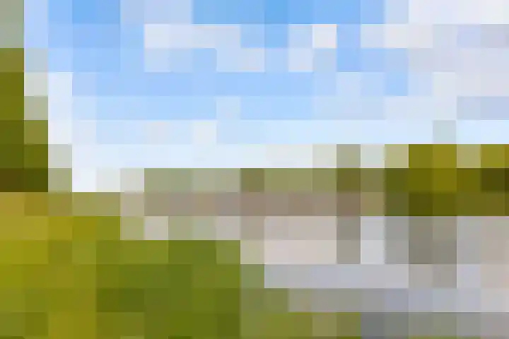 Morellenstraat 4 Almere thumbnail 64