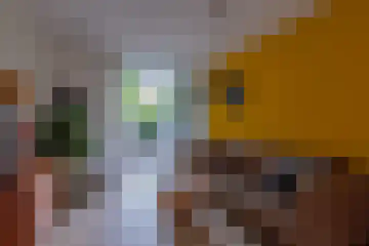 Morelstraat 75 Utrecht thumbnail 8