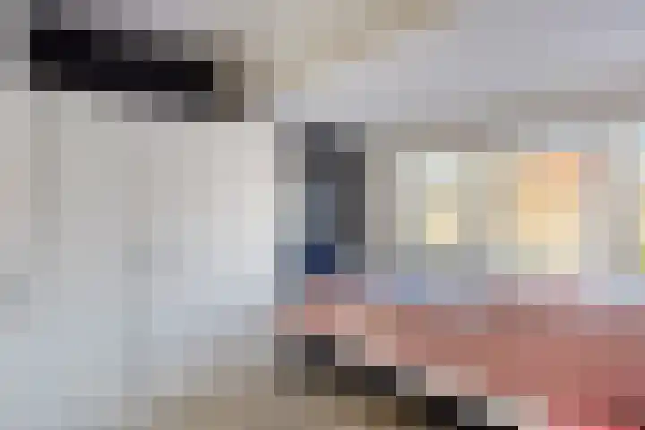 Morene 110 Uden thumbnail 11