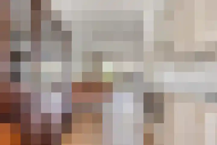 Morene 110 Uden thumbnail 14