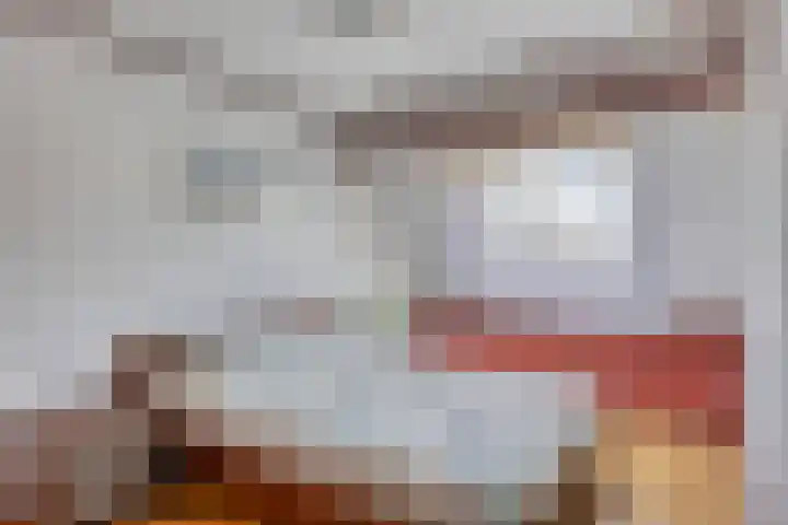 Morene 110 Uden thumbnail 16