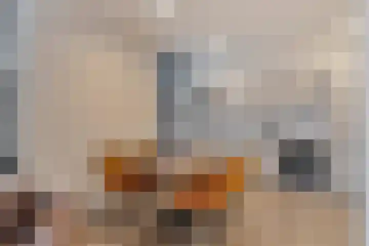 Morene 110 Uden thumbnail 17