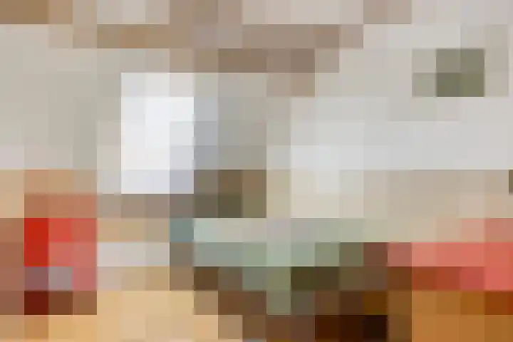 Morene 110 Uden thumbnail 19