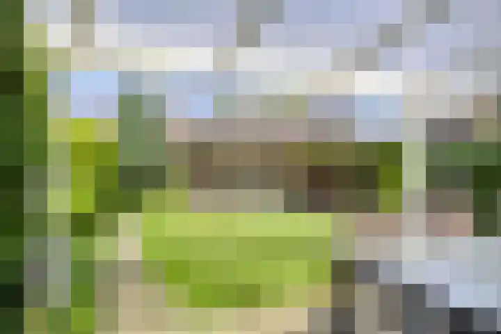 Morene 110 Uden thumbnail 25