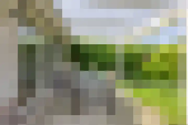 Morene 110 Uden thumbnail 27