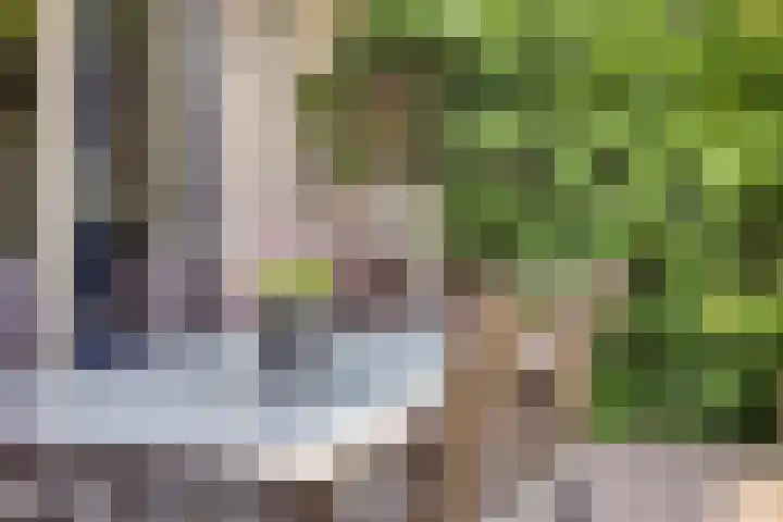 Morene 110 Uden thumbnail 28