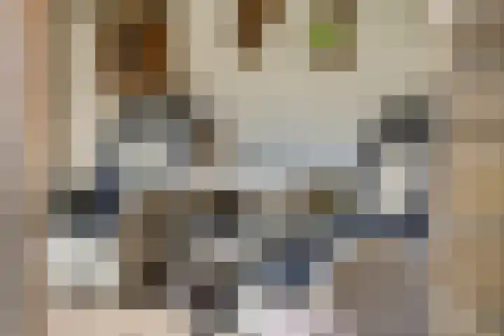 Morene 110 Uden thumbnail 29