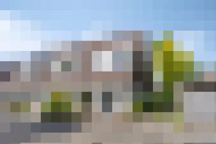 Morene 110 Uden thumbnail 31