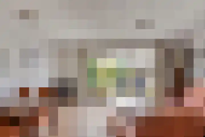 Morene 110 Uden thumbnail 6