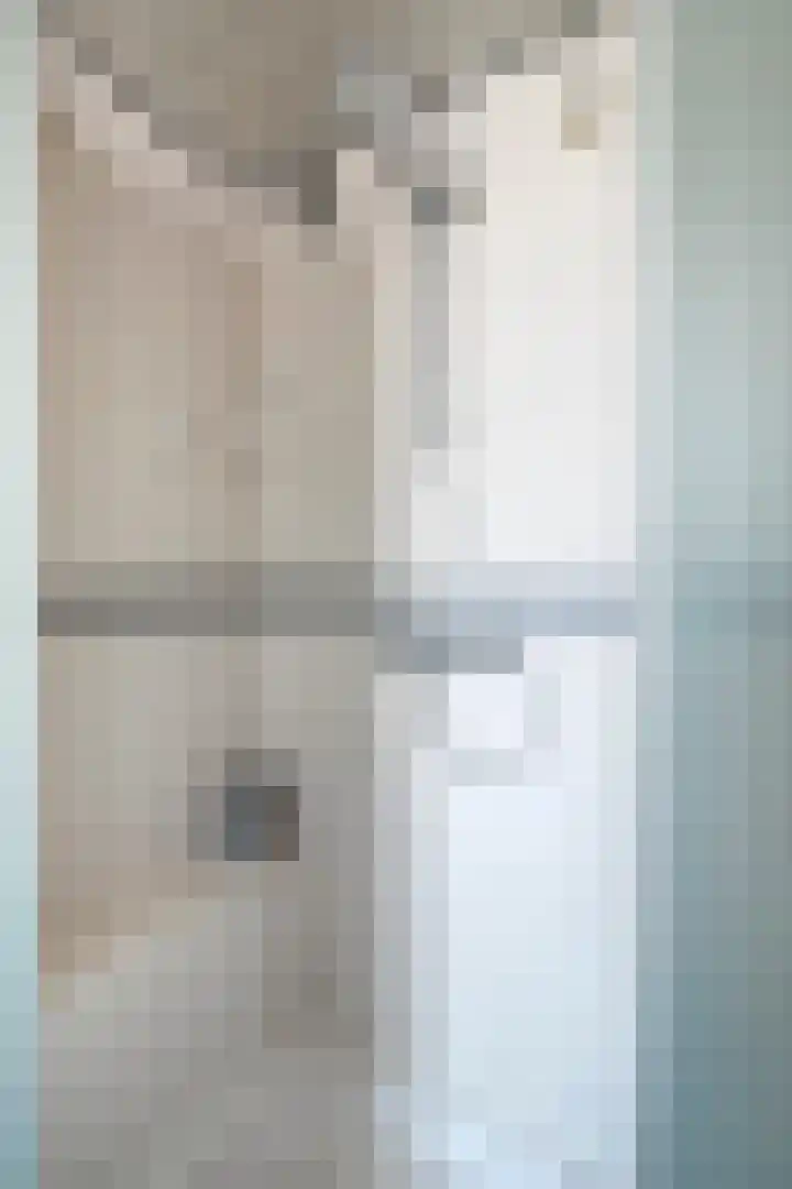 Morene 412 Uden thumbnail 22