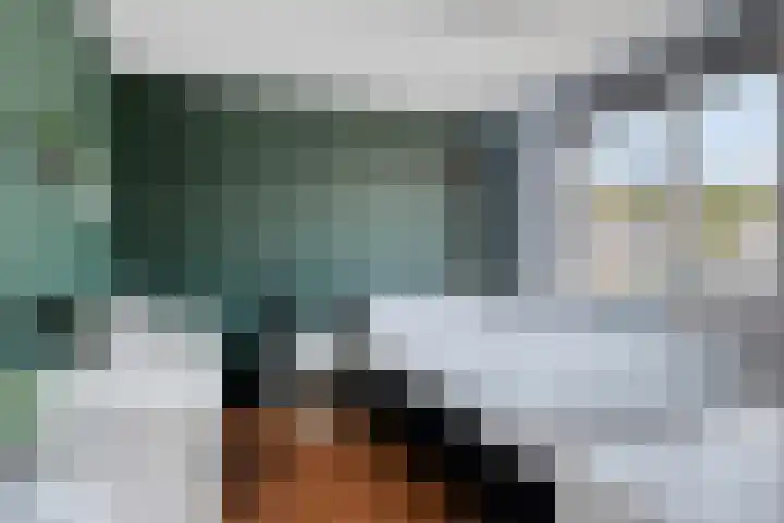 Morene 412 Uden thumbnail 24