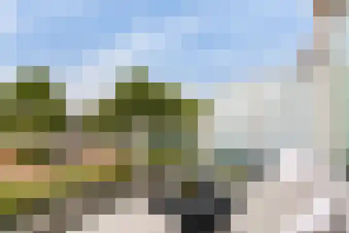Morgen 2 Brielle thumbnail 13