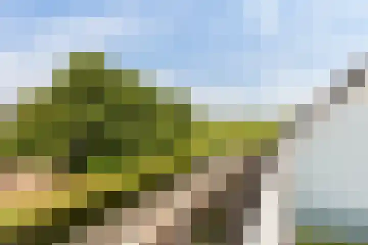 Morgen 2 Brielle thumbnail 14