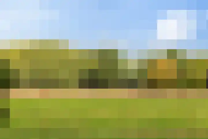 Morgen 2 Brielle thumbnail 15
