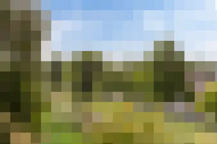 Morgen 2 Brielle thumbnail 16