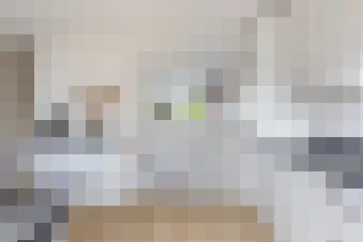 Morgen 2 Brielle thumbnail 23