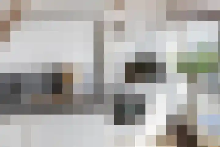 Morgen 2 Brielle thumbnail 24