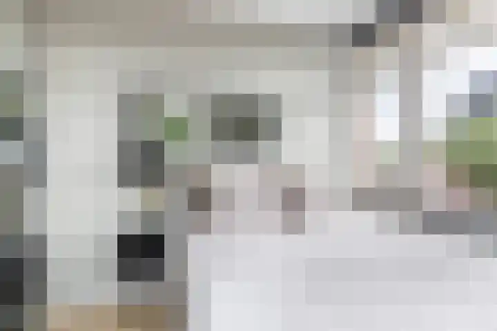 Morgen 2 Brielle thumbnail 27