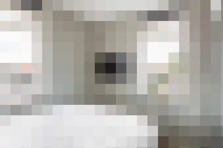 Morgen 2 Brielle thumbnail 29