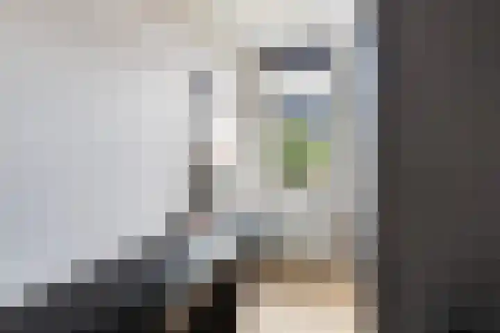 Morgen 2 Brielle thumbnail 30