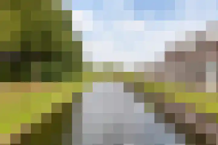 Morgen 2 Brielle thumbnail 37