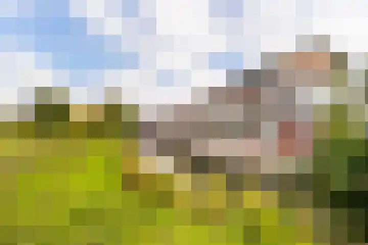 Morgen 45 Soest thumbnail 27